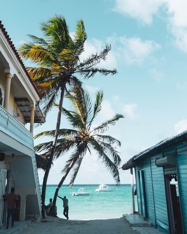 Dominikanska republika, Punta Cana, plaz, more, palmy