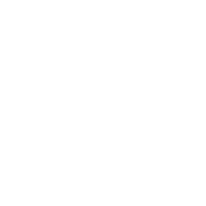 satur-logo-lavsi