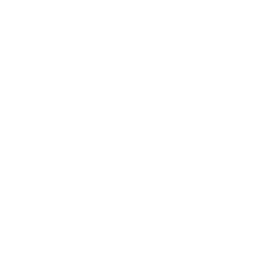 turancar-logo-lavsi (2)